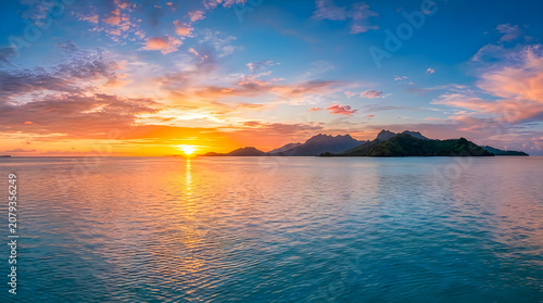 Serene natural green landscape photo at sunset over ocean