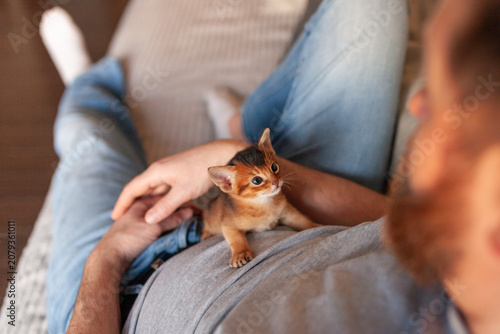 Fotografie Man holding small Abyssinian kitten while relaxing on couch