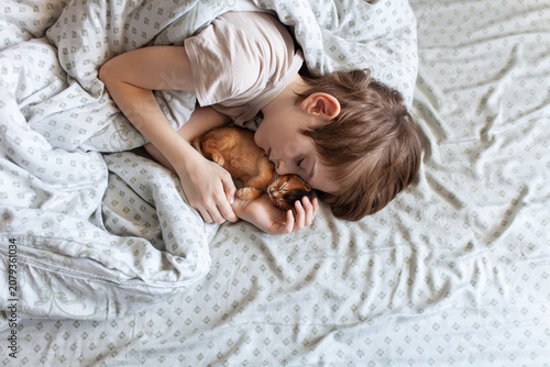 Obraz w ramie Young boy sleeping in bed while cuddling small ginger kitten. Friendship, comfort, childhood innocence, and deep emotional bond between child and pet.