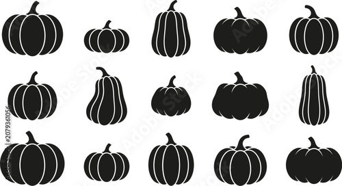 Photography Set of black pumpkin silhouettes showing different shapes and sizes for autumn h
