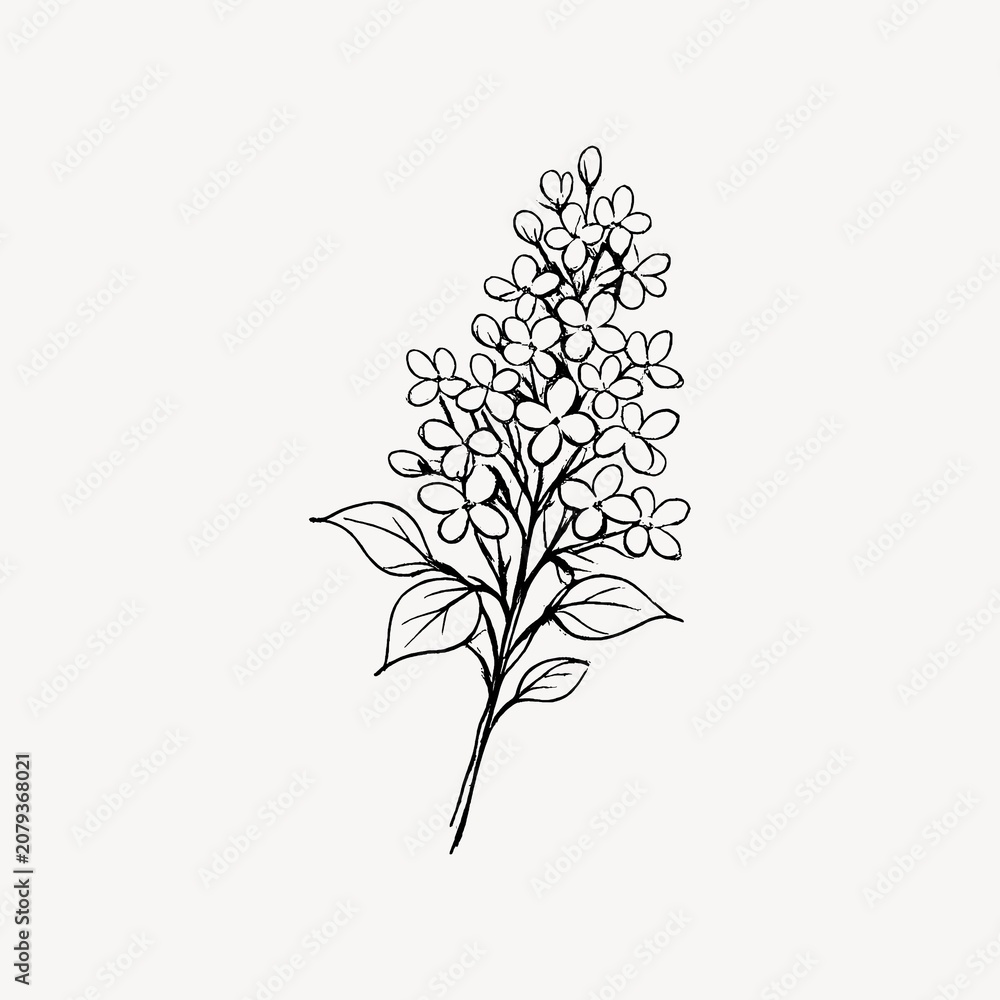 Fototapeta premium Minimalist floral line art