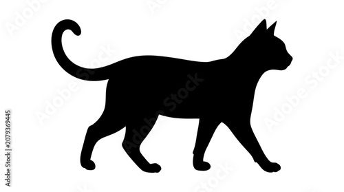 Obraz na plátně Black cat silhouette, feline icon, walking cat, pet symbol Vector