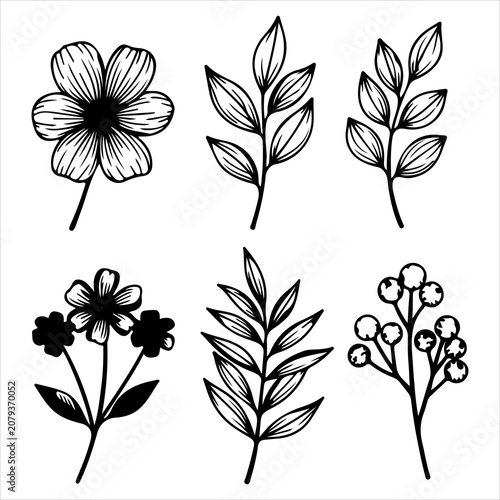 Set of six hand drawn floral elements featuring various leaves and flower blossoms in black and white line art style