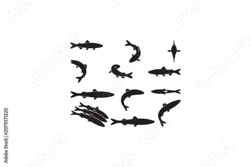 Smelt fish various style vector silhouettes black color image..eps