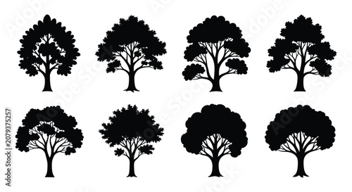 Photos Tree Silhouettes Collection Black Vector Illustration On White Background