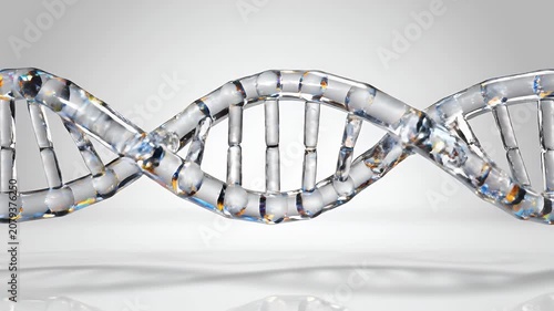 3D render of a transparent glass DNA double helix structure on a light gray background, symbolizing genetics and biotechnology