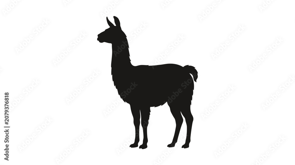Fototapeta premium Black llama silhouette, animal icon, vector illustration, simple design