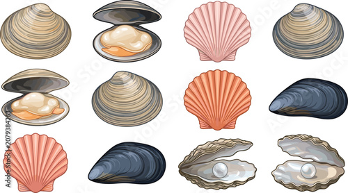 Foto Sea shell vector illustration set featuring realistic oysters with pearls pink scallops open clams and blue mussels marine animal life elements