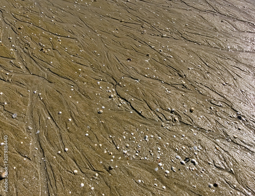 full-field view of the shiny sand when the tide has gone out