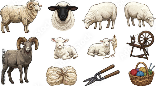 Cuadro en lienzo Sheep and wool production vector illustration set featuring realistic rams with horns ewes lambs spinning wheel shearing clippers and knitting yarn basket elements