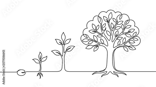 Continuous one line drawing of a tree growth cycle from seed to mature tree.