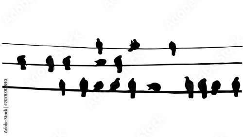 black silhouettes of birds sitting on wire