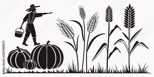 Quadro su tela Farmer sowing seeds in wheat field with pumpkins silhouette graphic pumpkins agr