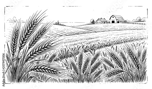 Obraz na płótnie Vintage Wheat Field Engraving Sketch Farm Vector Illustration