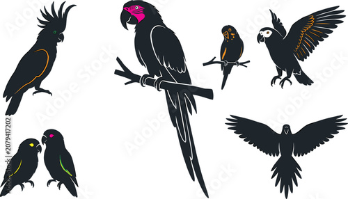 Quadro su tela Black cockatoo and parrot collection featuring perched flying and lovebird exoti