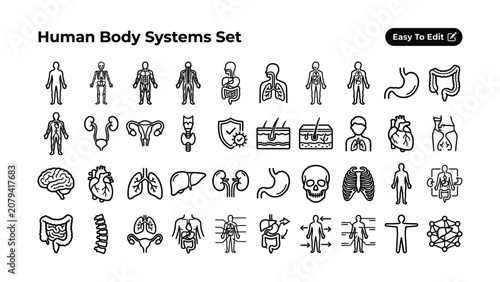 Human body systems set of icons including skeleton brain heart lungs and more  human body systems set