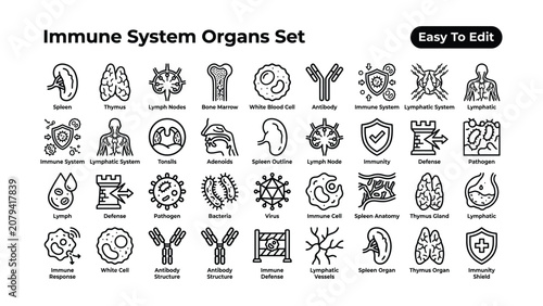Immune system organs set easy to edit vector illustration  medical education  anatomy  health  biology  science  organ icons