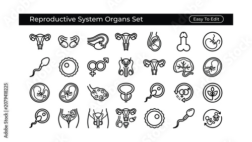 Reproductive system organs set including female and male anatomy icons  human body parts and biological symbols for medical and educational purposes