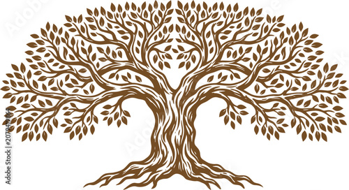 Valokuva Brown tree silhouette with sprawling branches and roots