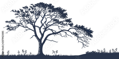 Quadro su tela Minimalist graphic art of a sprawling tree in a flat grassy field silhouette wit