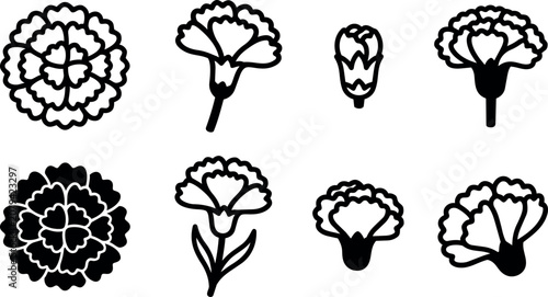 Black and white carnation flower line art vector set with buds and full blooms
