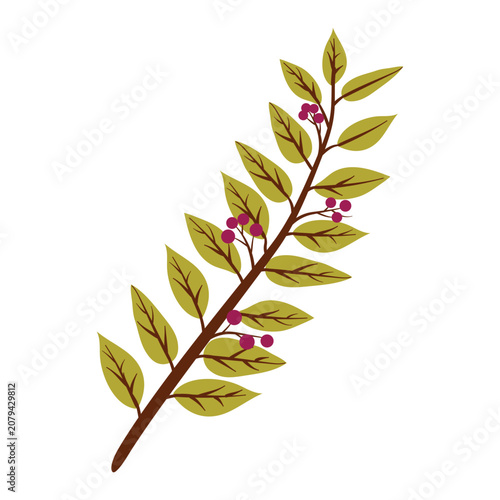 Green branch with purple berries