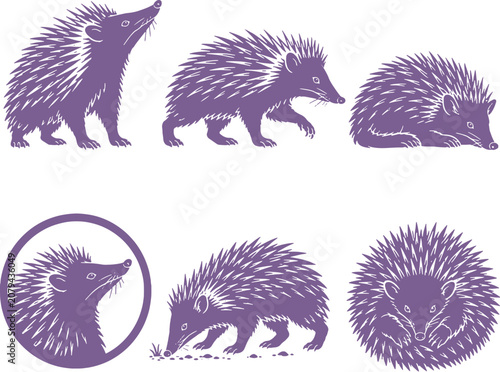 Obraz na plátne Tenrec Silhouette Icon Set Collection Black Spiny Mammal Vector Symbols Isolated