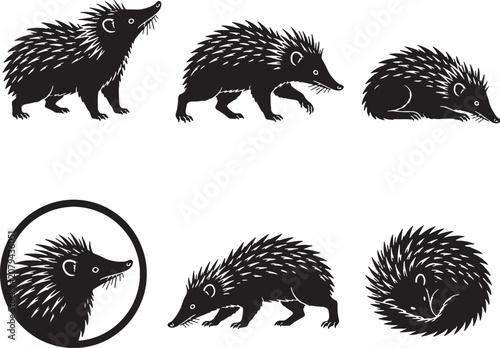 Obraz na plátne Tenrec Silhouette Icon Set Collection Black Spiny Mammal Vector Symbols Isolated