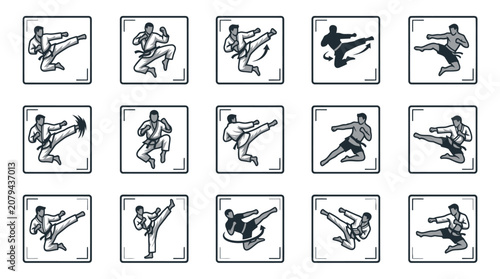 Tableau sur toile Martial arts poses and kicking techniques.