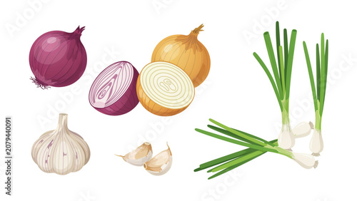 Fresh vegetables including onion, garlic, carrot, and green onion on white Vector