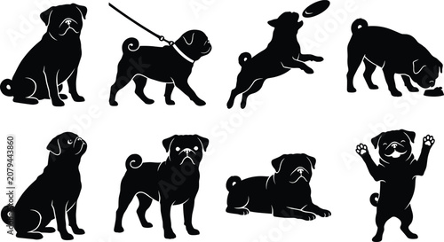 Fotografía Black Silhouette Vector Bundle of Pugs in Playful and Relaxed Poses Including Si