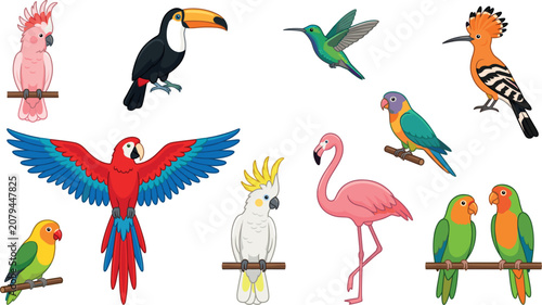 Photography Colorful tropical birds cartoon character collection featuring parrot flamingo t