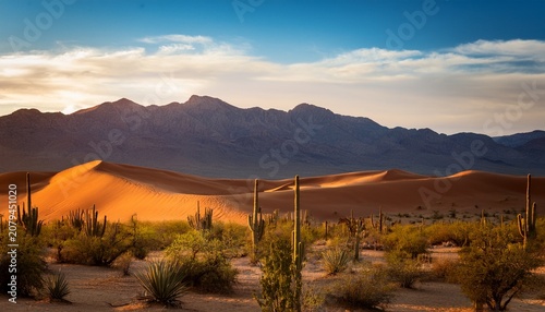 Desert Landscape At Sunset With Cacti Dunes And Mountainous Backdrop