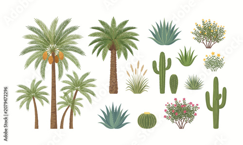 Collection of various desert plants.