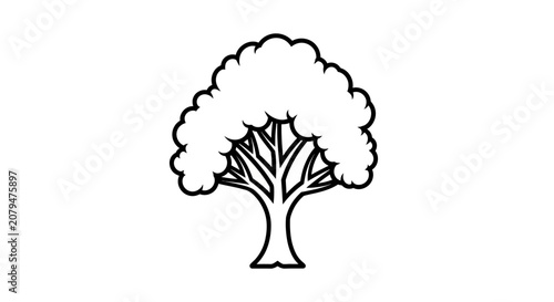 Minimalist leafy tree icon with detailed branch structure.