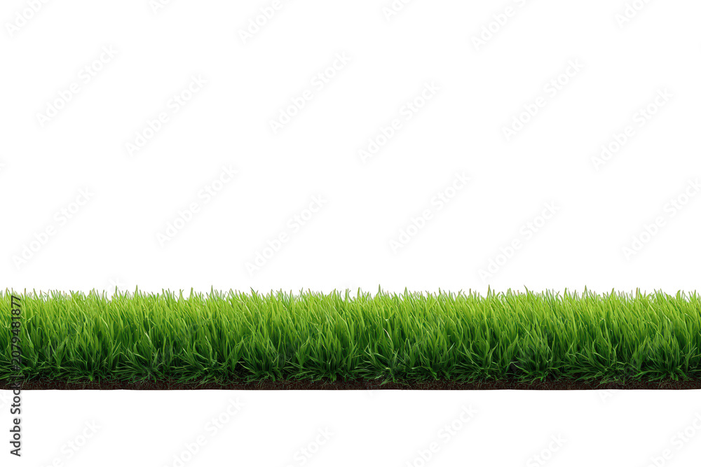 Fototapeta premium Green grass border separating ground and sky with clipping path on transparent checkerboard background