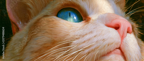 印象的な猫のクローズアップデジタルアート