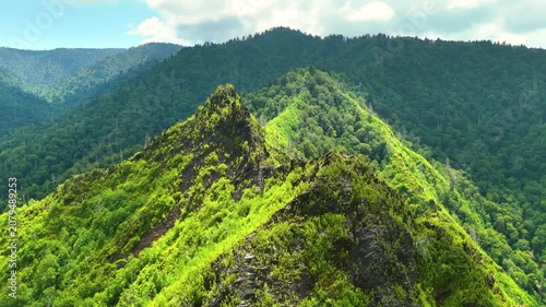 Appalachian mountains in North Carolina with fresh green forest trees in summertime season. Beauty of USA nature.