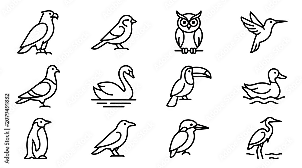 Fototapeta premium Collection of Bird Icons: Eagle, Owl, Hummingbird, Swan, Toucan, Penguin, Pigeon, Duck, Heron