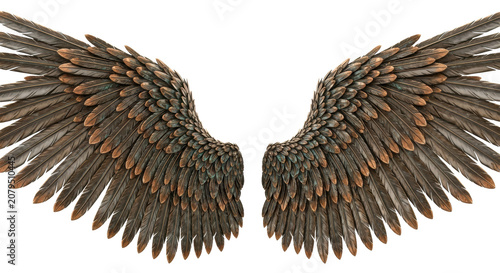 Enormous, symmetrical mythological angel wings of mechanical-organic bronze and oxidized copper, textured with verdigris patina, isolated on white concept of divine power and craftsmanship