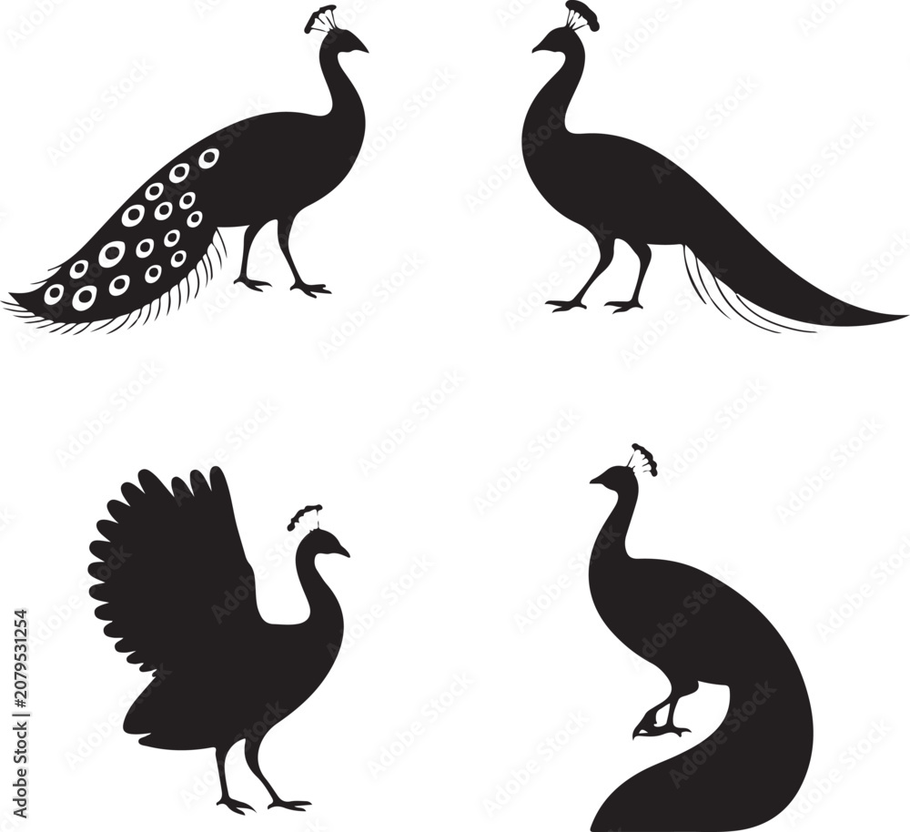 Obraz premium Set of four black silhouettes of peacocks in various poses, including standing with tail feathers and fanned plumage on white background