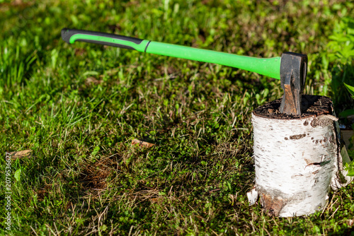 Принти на полотні splitting axe stuck in a stump