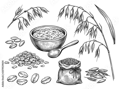 Hand drawn ink sketch of oat plant, grain, wooden bowl with porridge and oatmeal flake, isolated on white