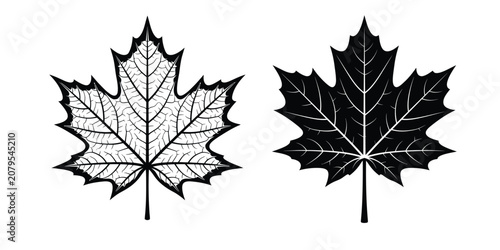 Black and white maple leaf silhouettes