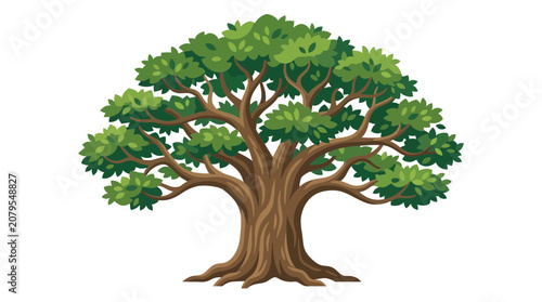 Large green oak tree with a wide canopy.