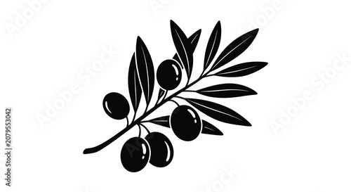 Fotografía Olive branch with black olives a monochrome silhouette on white background