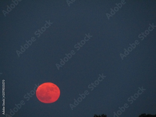 The Strawberry Moon June 29th, 2029 arrival.