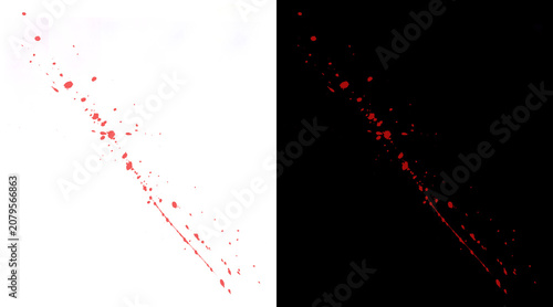 Canvas Print Realistic red blood splatter on white and black background, liquid blood spray t