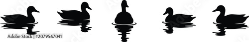 silhouette of ducks swimming in water, wild mallard waterfowl birds group floating, lake pond nature wildlife, illustration image