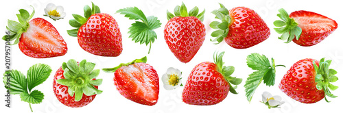 Set of juicy ripe strawberries, flowers and leaves isolated on transparent background.